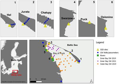 The benthic-pelagic coupling affects the surface water carbonate system above groundwater-charged coastal sediments